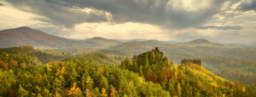 Böhmische Schweiz Waldblick
