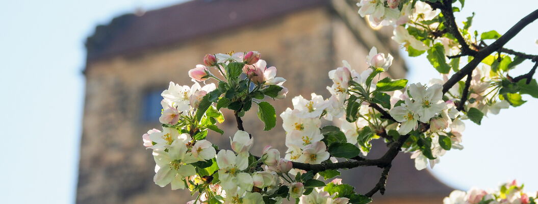 Stolpen im Frühling